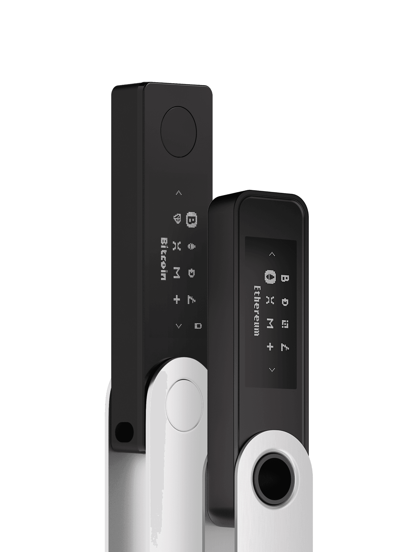 Set Ledger Backup Pack